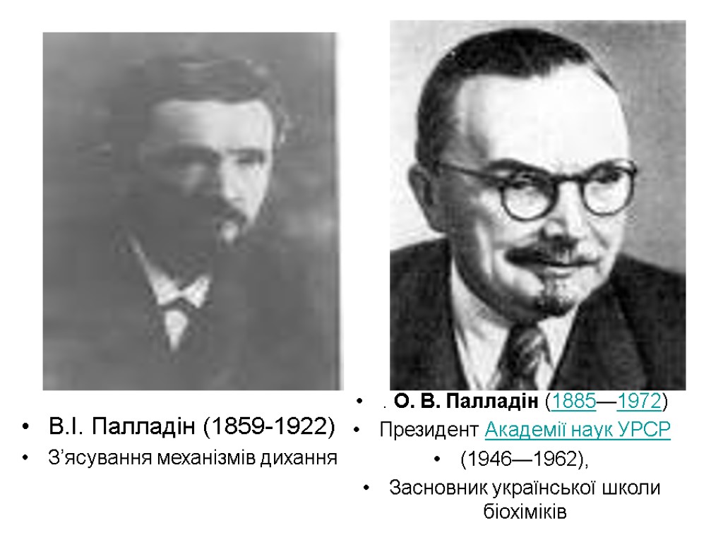 В.І. Палладін (1859-1922) З’ясування механізмів дихання . О. В. Палладін (1885—1972) Президент Академії наук